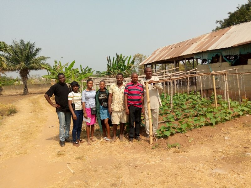 Project Photo